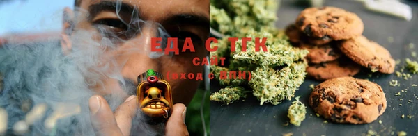 индика Белокуриха