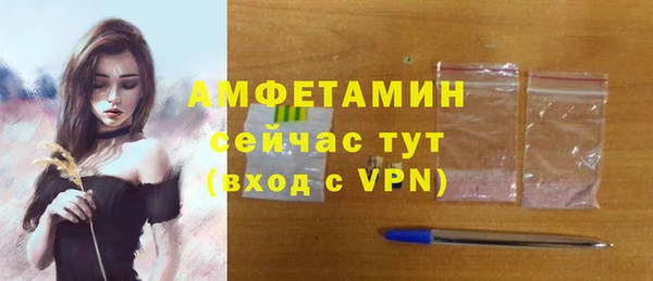 индика Белокуриха