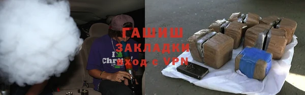 индика Белокуриха