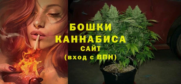 индика Белокуриха