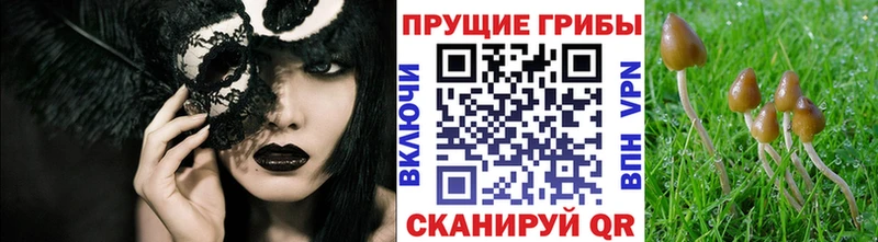 Галлюциногенные грибы GOLDEN TEACHER  купить наркотик  Шахты 