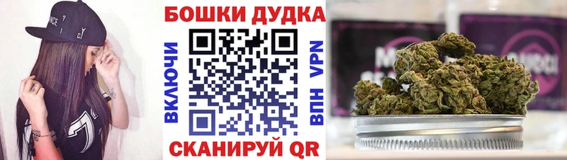 Канабис сатива  Шахты 